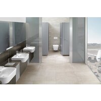 Villeroy & Boch ViConnect 92249069 (хром матовый) Image #3