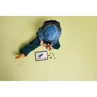 LEGO Jurassic World Детёныш динозавра Долорес: Аквилопс 76970 Image #11