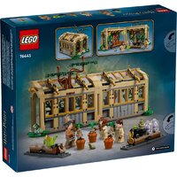 LEGO Harry Potter Замок Хогвартс: Класс Гербологии 76445 Image #2