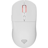 Genesis Zircon XIII Custom (белый) Image #1
